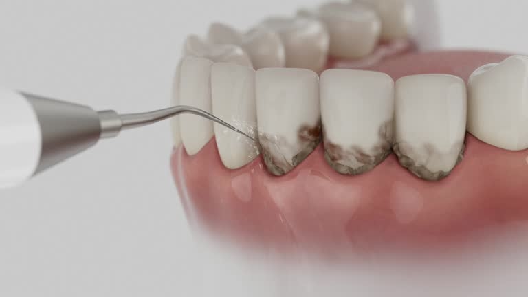 Reliable Dental contractor in Ten Mile Run, NJ by Dentist Open Now